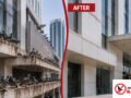 Commercial Bird Control UAE