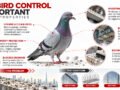 Why Bird Control Is Important